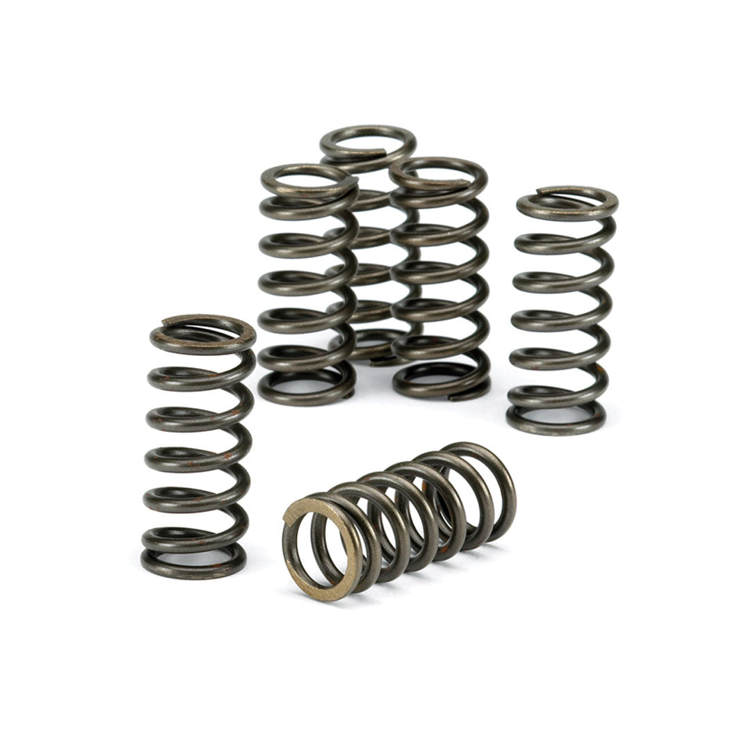 EBC Clutch Spring Kit CSK165