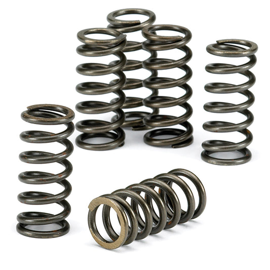 EBC Clutch Spring Kit CSK026