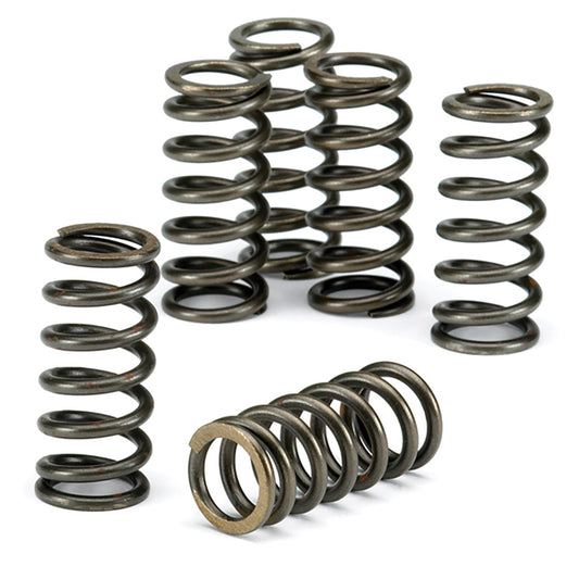 EBC Clutch Spring Kit CSK142