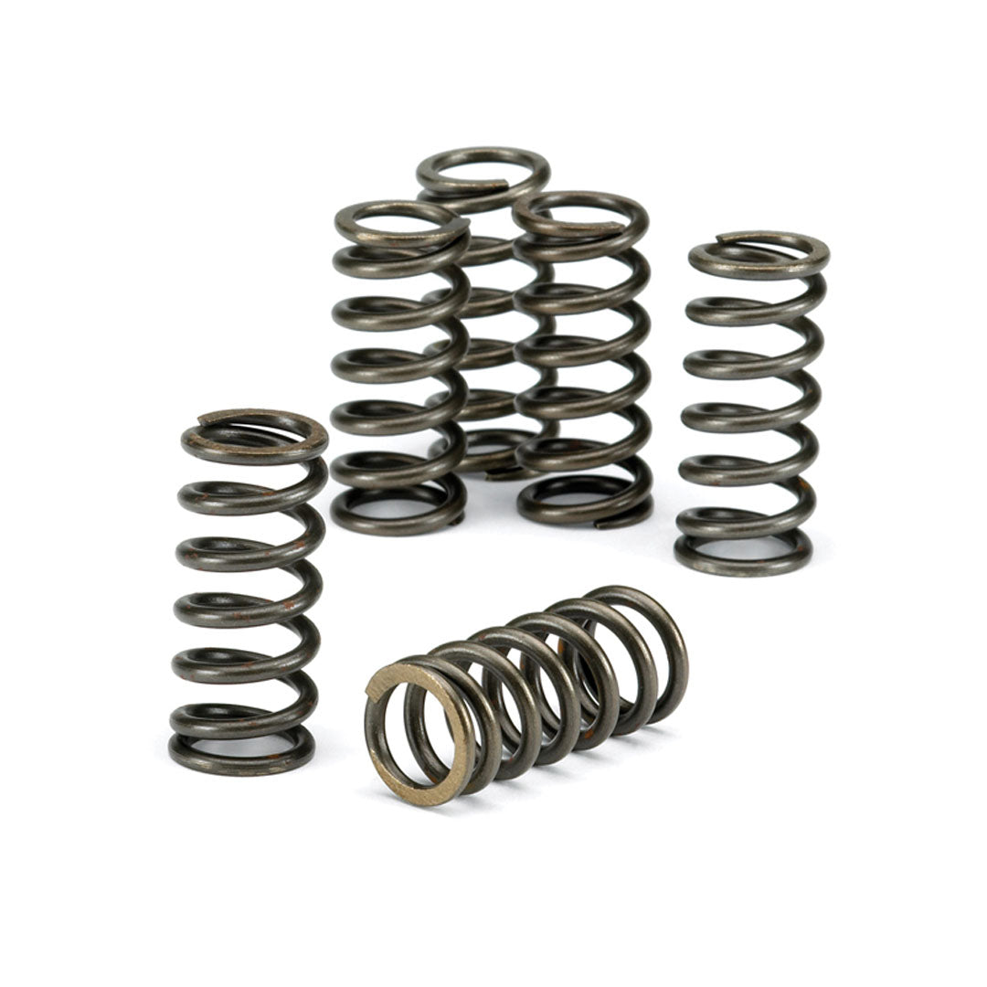 EBC Clutch Spring Kit CSK157