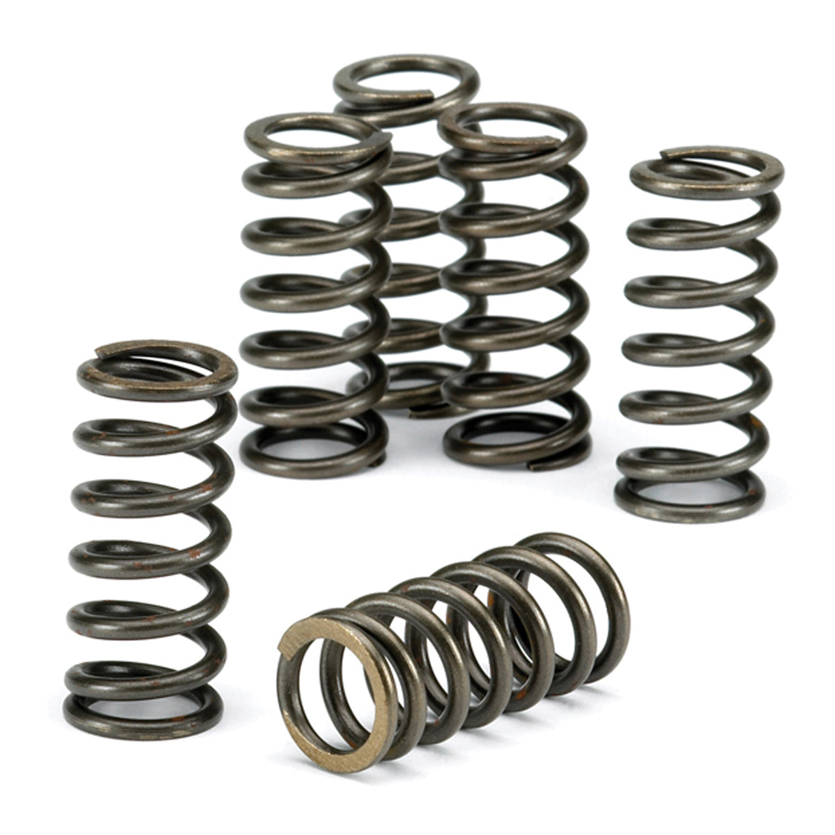 EBC Clutch Spring Kit CSK058