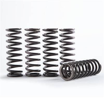 Hinson Hi-Temp Clutch Spring Kit CRF450R 21-24