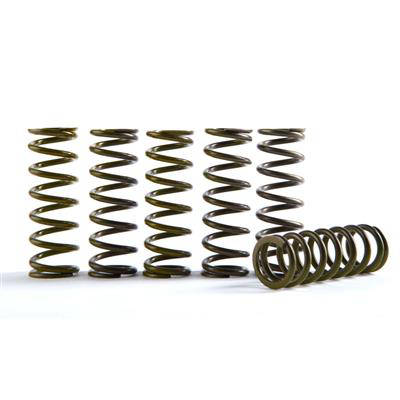 Hinson Hi-Temp Clutch Spring Kit YZ250F 19-24