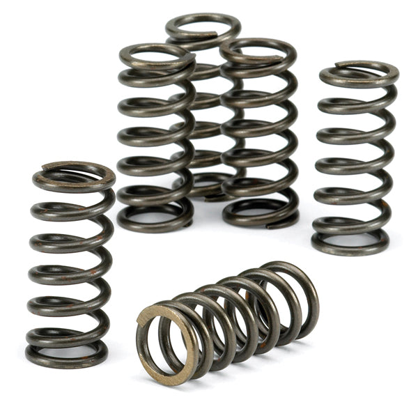EBC Clutch Spring Kit CSK115